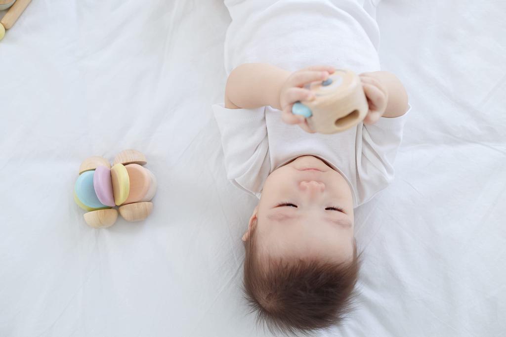 PLANTOYS Peekaboo Roller Pastel 5252