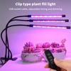 USB LED Plant Lamp Full Spectrum 3 Timer Setting 24W for Home Office Indoor Garden Desk Flowering Plants