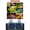 Reptiles Suction Cup Feeders,Coloretto Feeding Food Bowl,Clear Anti Escape Worms Live Fodders Container for Lizards Dagron