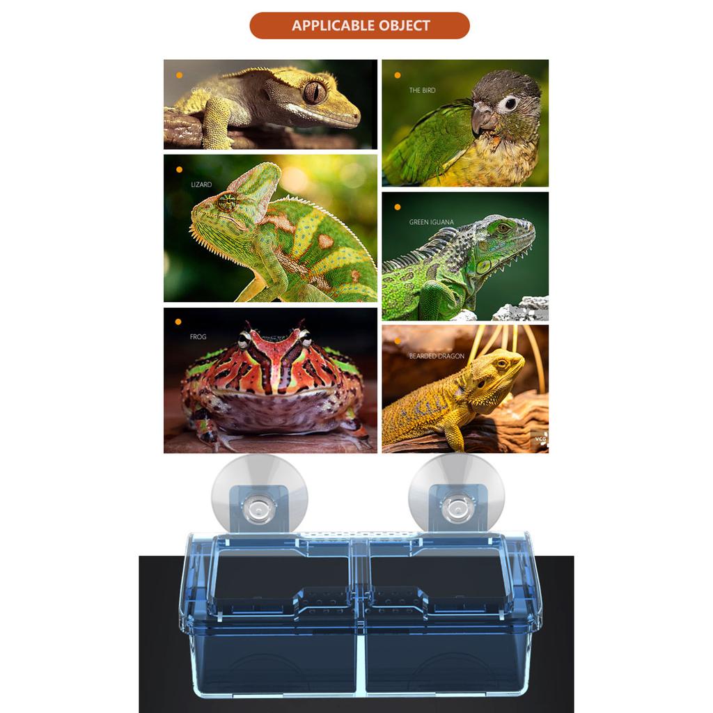 Reptiles Suction Cup Feeders,Coloretto Feeding Food Bowl,Clear Anti Escape Worms Live Fodders Container for Lizards Dagron