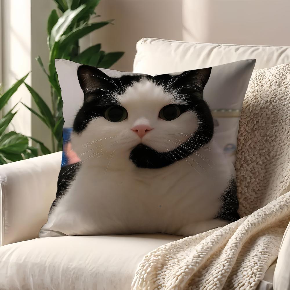 Black White Cat Cute Cow Cat Cushion Cover For Pillow Printing Sofa Decoration Home Car Room Coffee Shop Office NordicSimplicity