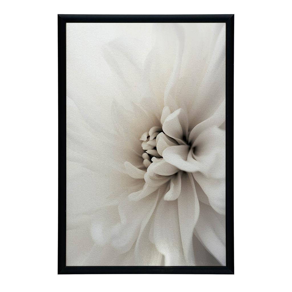 Delicate White Dahlia Delicate White Dahlia, 30X40 Cm, Dark Brown Wooden Frame, 230 Gsm Matte Paper
