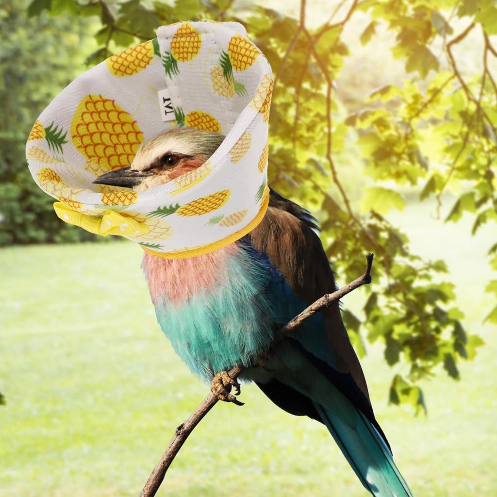 SUPVOX Bird Recovery Collar: Elizabethan Collar for Parrots & Parakeets - Soft Comfortable Material, Adjustable Size, Easy To Clean - Ideal for Wound