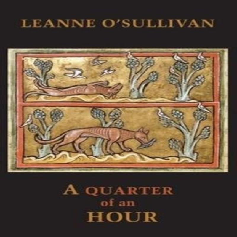 A Quarter of an Hour by Leanne OSullivan Paperback Book 9781780372228