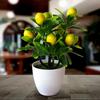Artificial Lemon Tree Artificial Plant 18X24Cm Nice Bonai Flowerpot