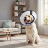 Breathable Dog Elizabethan Collar Prevent Biting Stop Scratching Dog Cone Collar Licking Protection Adjustable Protective Collar
