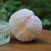 15Cm Extra Large Powder Puff Oversize Long Plush Body Powder Applicator Easy To Hold Oversize Dust Puffs For Body Face Powder