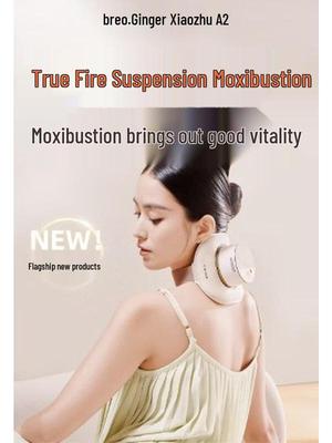 A2 Portable Electronic Moxibustion Device CN Plug (adapter Included)
