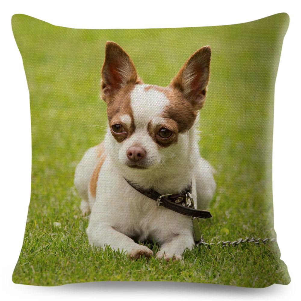 Cute Little Dog Chihuahua Cushion Cover Decor Lovely Pet Animal Pillowcase Polyester Throw Pillow Case for Sofa Home Car 45x45cm