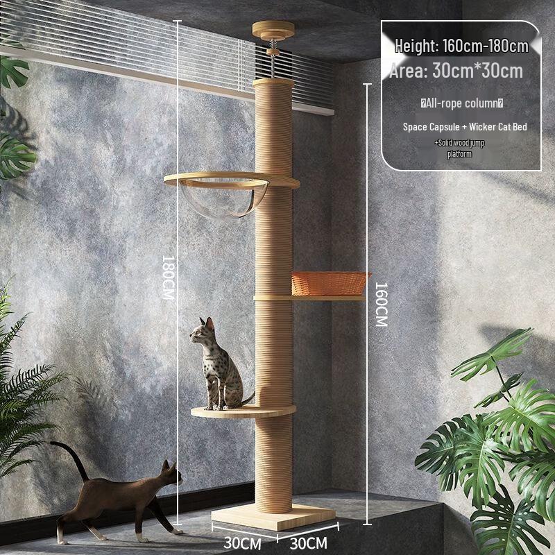 Aomengming Cat Climbing Tree with Observation Tower