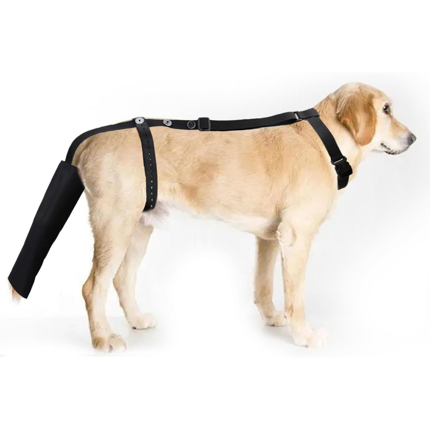 

New Pet Protector Dog Tail Protector Protective Cover Dog Tail Bracket Postoperative Prevention of Licking and Biting Breathable Material M