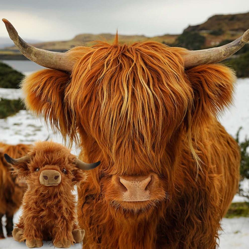 Vache des Highlands Peluche Living Nature Ours en Peluche Jouets Mignons à Câliner Enfants