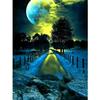 DIY 5D Diamond Painting Landscape Full Moon Cross Stitch Kit Rhinestone Diamond Embroidery Mosaic Art Home Decoration Picture