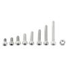 M2.5 A2 Stainless Steel Hex Socket Screws   With Hex Nuts Assortment Fasteners(  Head)