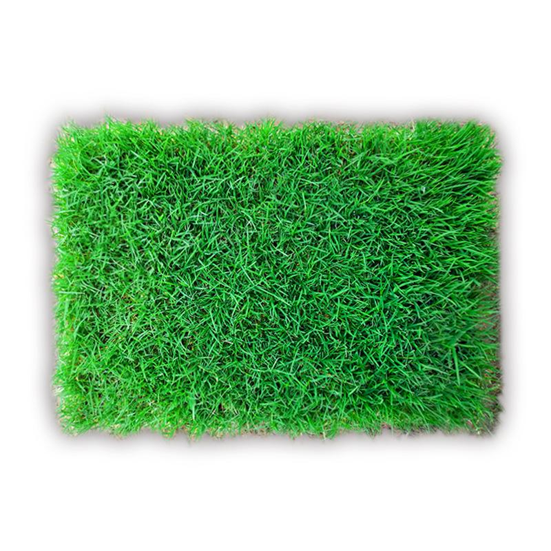 Suzhou Natural Lawn with Manila and Taiwan Grass for Villa Courtyard Gardens