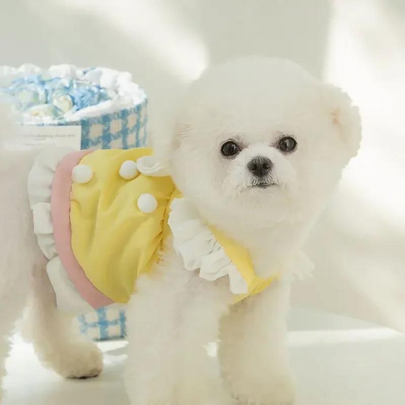 Süße Hundekleidung für kleine Hunde, Teddy, Bichon, Bär, Prinzessin, Windkuchen, Kleid, Kind, Sommerweste, Haustierkleidung