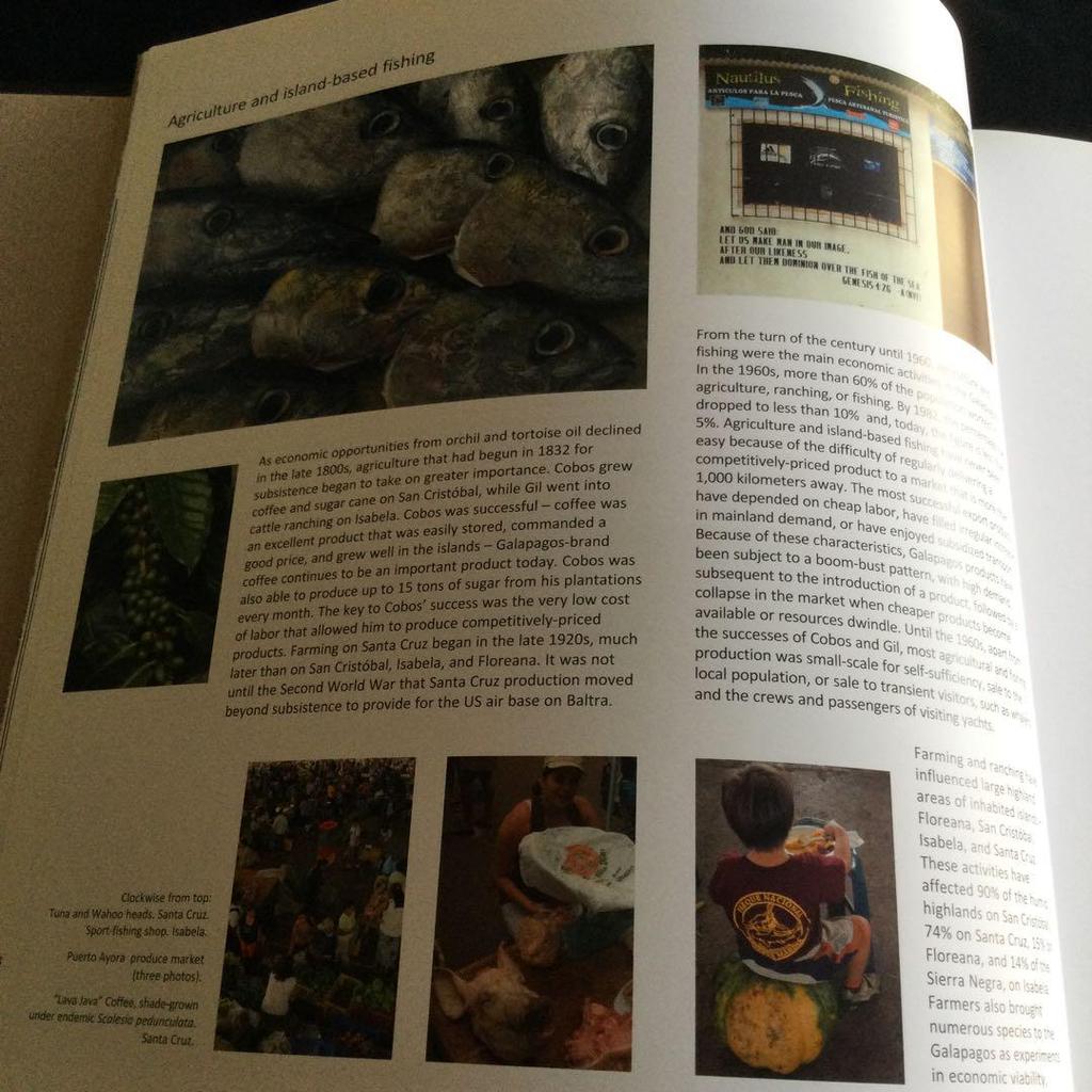 [USED] Galapagos Islands Photo Collection Nature South America Animals Foreign Books English Ecuador Ocean Volcano Book