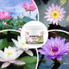 Aquatic Plant Fertilizer Water Lily Effective Plant Blossom Booster water lily nutrient powder fertilizer to promote flowering