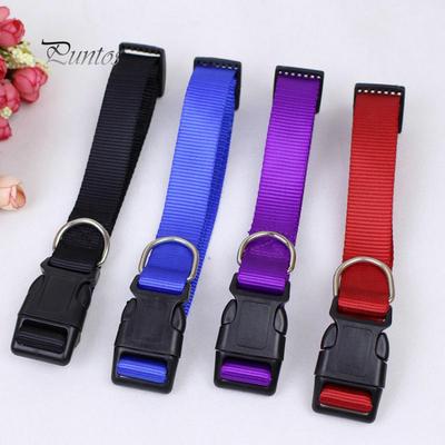 Collier pour animaux de compagnie pour chiots, sangle de cou pour l'extérieur