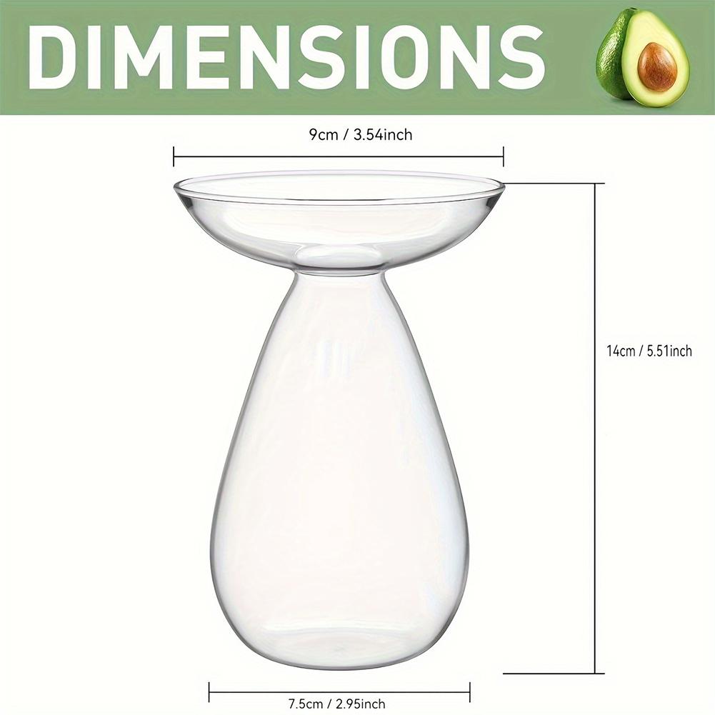 Stacja do rozmnażania roślin Przezroczyste szkło Drzewko awokado Wazon na kwiaty Szklany planter Miłośnicy ogrodnictwa Dekoracja domu