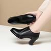 High Heels Spring and Autumn Single Shoes Women's Thick Heel Soft Sole Soft Leather Comfortable Thick Sole Deep Mouth Shoes Women's Shoes