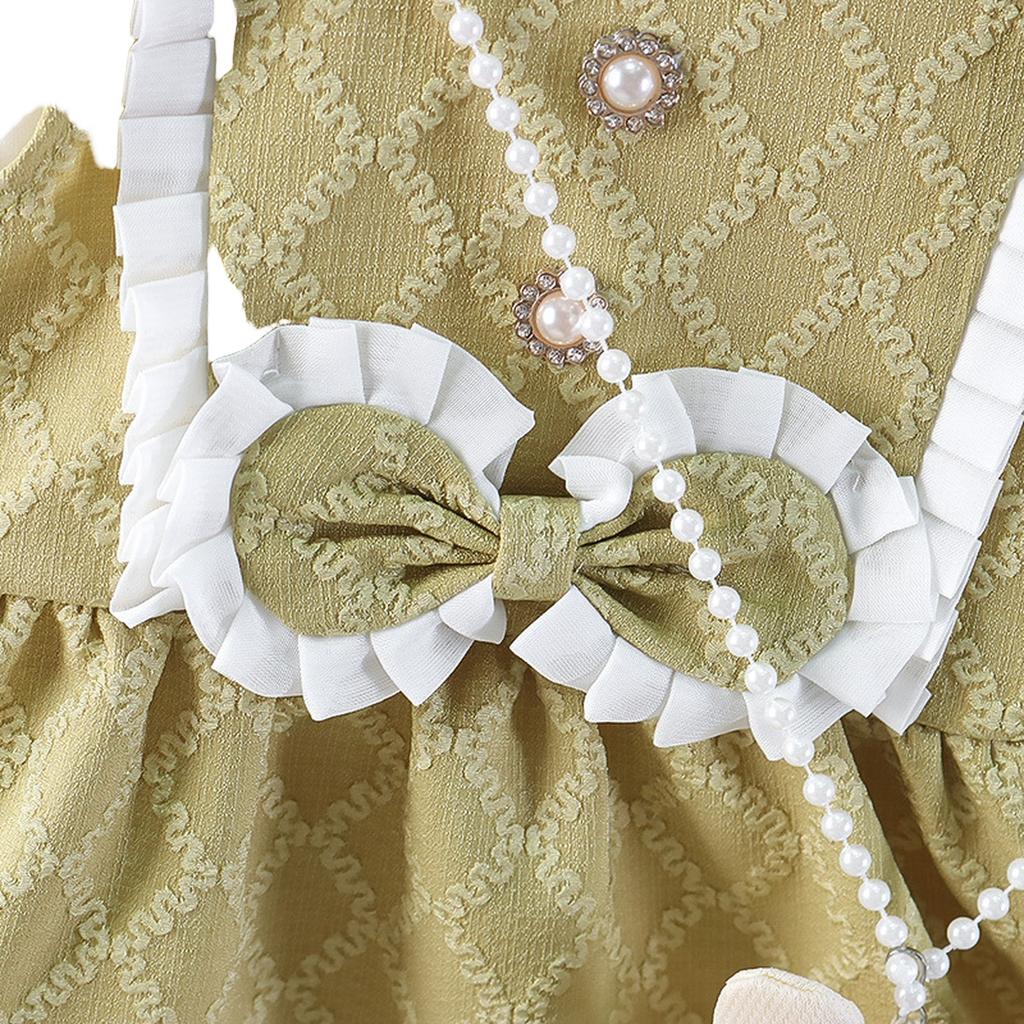 Toddler Girls Autumn Dress Two Piece Set Princess Style Baby Dress with Long Sleeve Inner Shirt and Suspender Skirt for 1 Year Old Kids