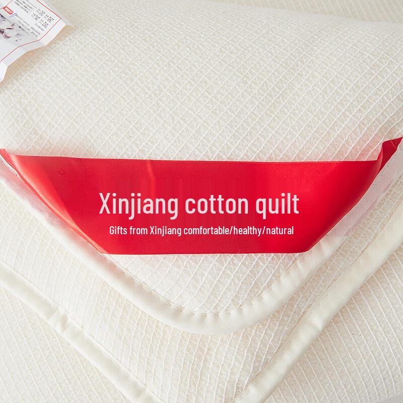 Rancrnuo Xinjiang Long-Staple Cotton Quilt Insert