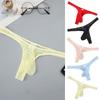 1Pc Sheer Bulge Pouch Panties Men's Sexy Ice Silk Underwear G-string Briefs Thong Nylon