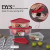 Multi-capacity Food Boxes 3 Pcs/Set Crisper Reusable Pizza Leftover Storage Container High Temperature Plastic Containers Resistant Triangle