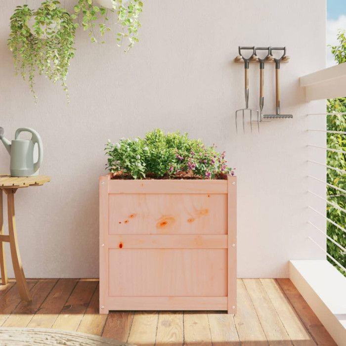 VidaXL Jardinière 60x60x60 cm bois massif douglas 837430