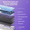 Low Noise USB Wired Keyboard 8K Return Hot Swap 0.01mm RT Custom RGB 65% Layout Size E-Sports Mechanical Gaming Keyboard