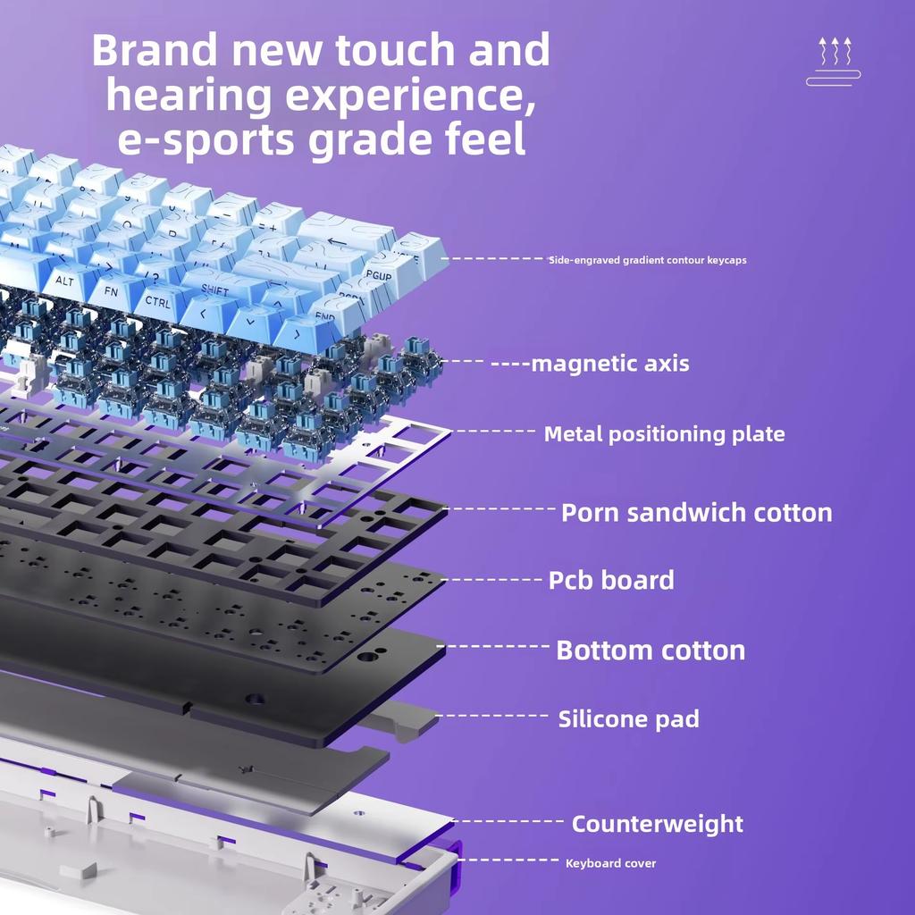 Low Noise USB Wired Keyboard 8K Return Hot Swap 0.01mm RT Custom RGB 65% Layout Size E-Sports Mechanical Gaming Keyboard