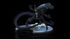 Alien Alien Queen Q-FIG MAX Elite Diorama