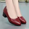Sapatos de Salto Alto Femininos Confortáveis Antiderrapantes da Moda com Solado Macio para Primavera e Verão, Salto Médio Novo, Sapatos Femininos para Mãe e Trabalho
