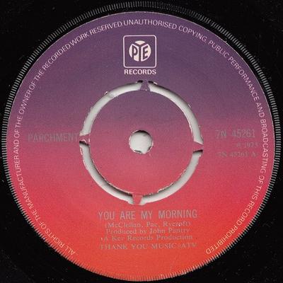 7inch Record PARCHMENT - You Are My Morning 7N45261 Pye Records 1973 UK Folk Used