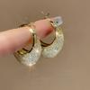 Inside Crystal Metal Mesh Hoop Earrings for Women Wedding Party European Vintage Round Statement Dangle Earrings Jewelry