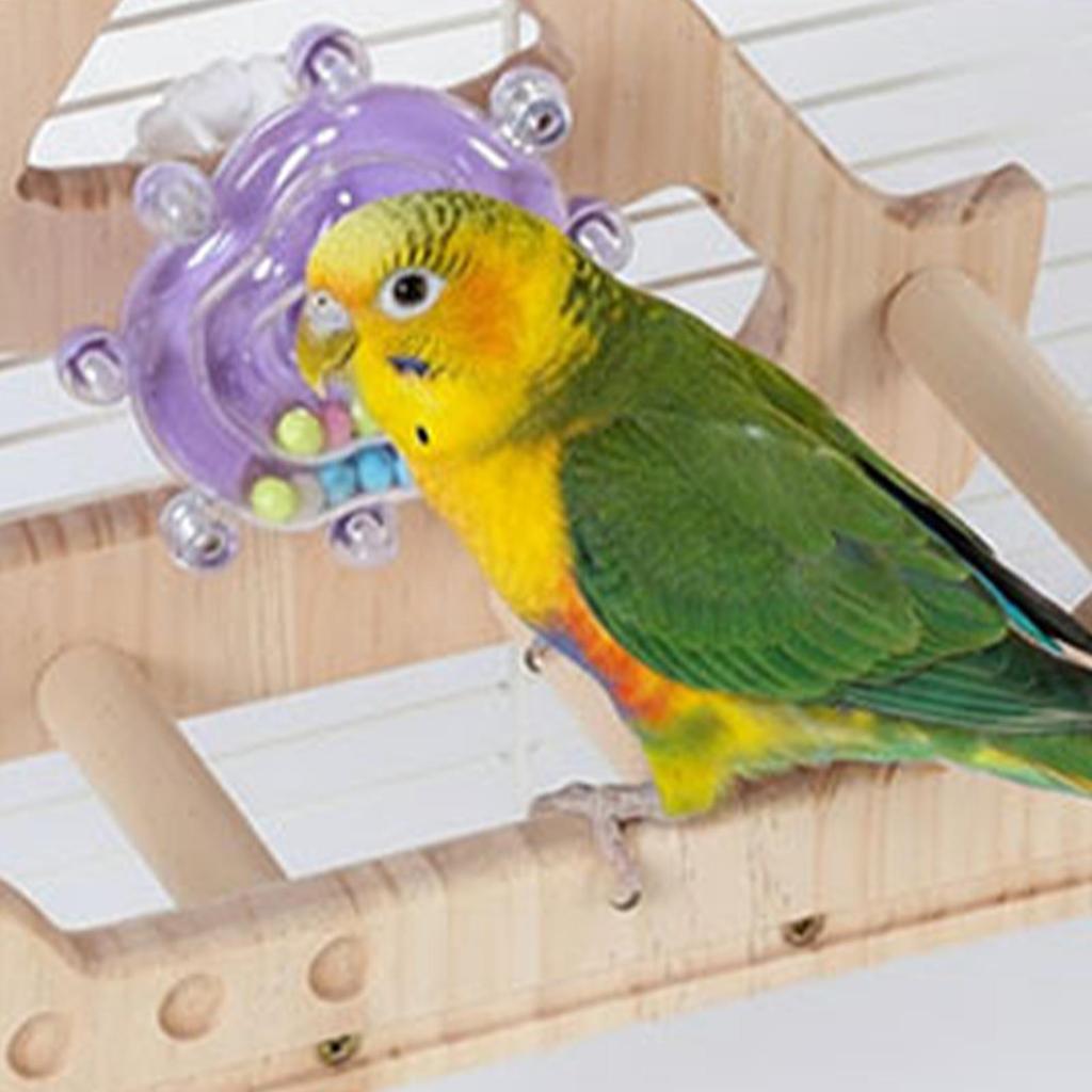Bird Swing Wooden Rotatable Perch Bird Cage Accessories For Pets Hummingbirds Backyard Play Enrichment Exercise Climbing