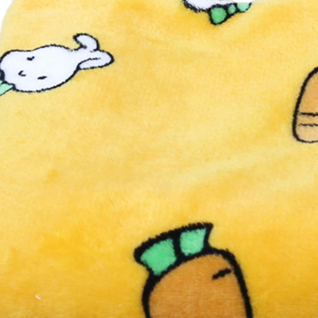 Pet Blanket Thick Soft Warm Double Sided Flannel Coral Fleece Cat Dog Sleep Blanket for Small