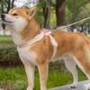 Adjustable Dog Chest Strap Multi-color Pet Walking Vest Dog Harness and Leash Set  Outdoor Walking
