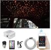 Car RGBW LED Starry Sky Ceiling Light 380 Pcs Mixed Fiber Optic RF/APP Control