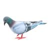 Brand New Simulation Pigeon Model Store Scenery 1pcs Artificial
