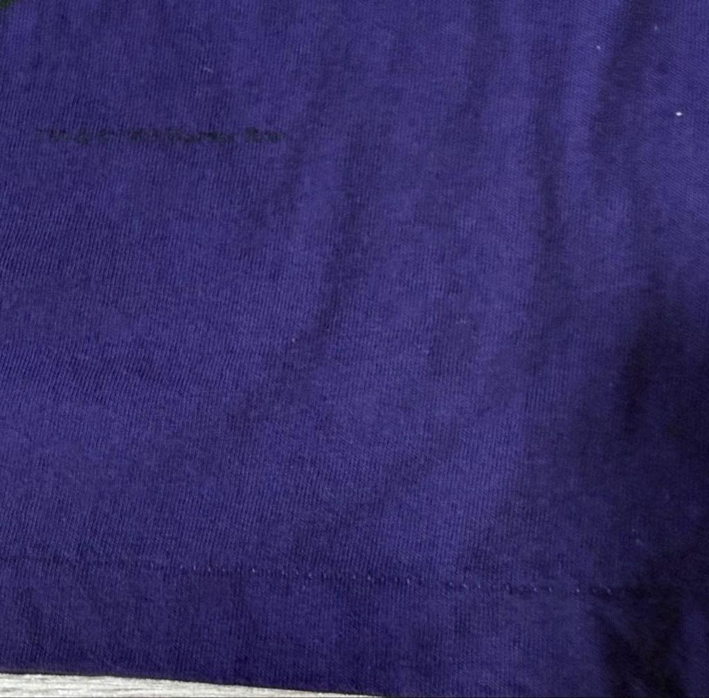 [USED] Made In USA 90s Looney Tunes T-shirt, Sylvester and Tweety, Purple