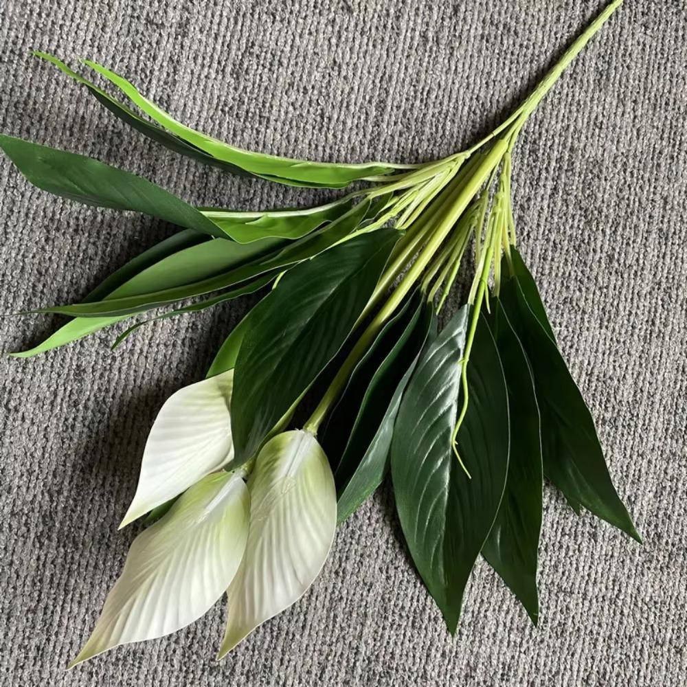 

Ветка дерева Искусственный антуриум Пластиковые искусственные цветы Реалистичные на ощупь Искусственные зеленые растения Настольный