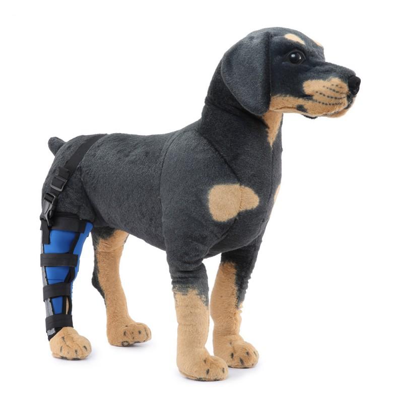 Hunde-Hinterbein-Stützbandage zur Genesung nach Operationen und zum Schutz vor Verletzungen für mittlere bis große Rassen