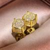 European & American Style Four-Claw Zircon Star Hip-Hop Earrings - All-Match Fashion Jewelry