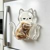 Transparent Pet Memorial Fridge Magnet Magnetic Magnetic Storage Magnet  Pet Memorial