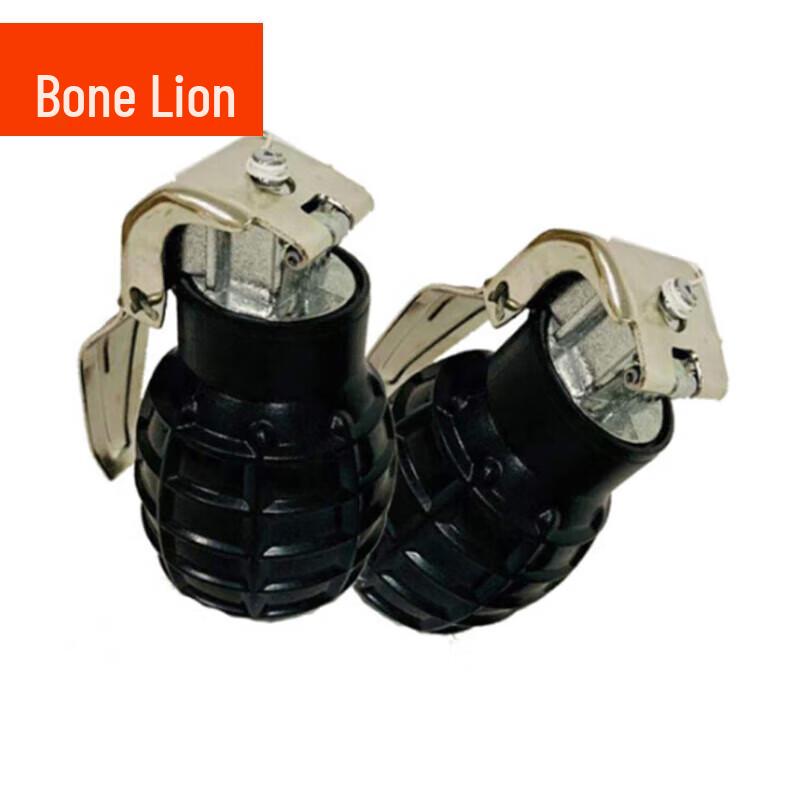 Bone Lion Model Teaching Aid