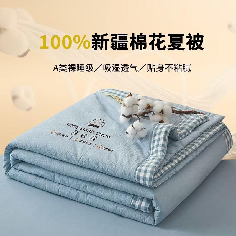 Boyido Class A Xinjiang Cotton Summer Comforter