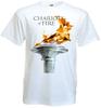 Üst giysisi – T-shirtler