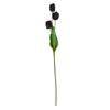 One Size – black